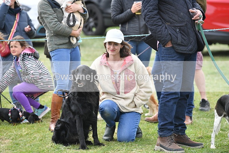 WJ5_0134 - Class 5 Best Veteran / 7 years & over