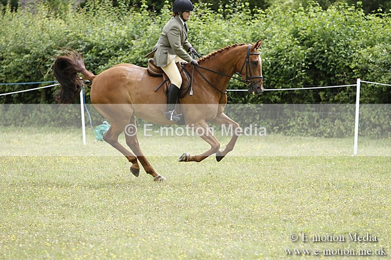 BVR160717-2247 - Ring 3 BVRC Show 16/07/17