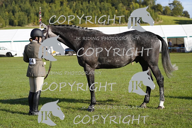 _DSC9497 - Class 8 & 17 Ridden Hunter & Ridden Hunter Pony