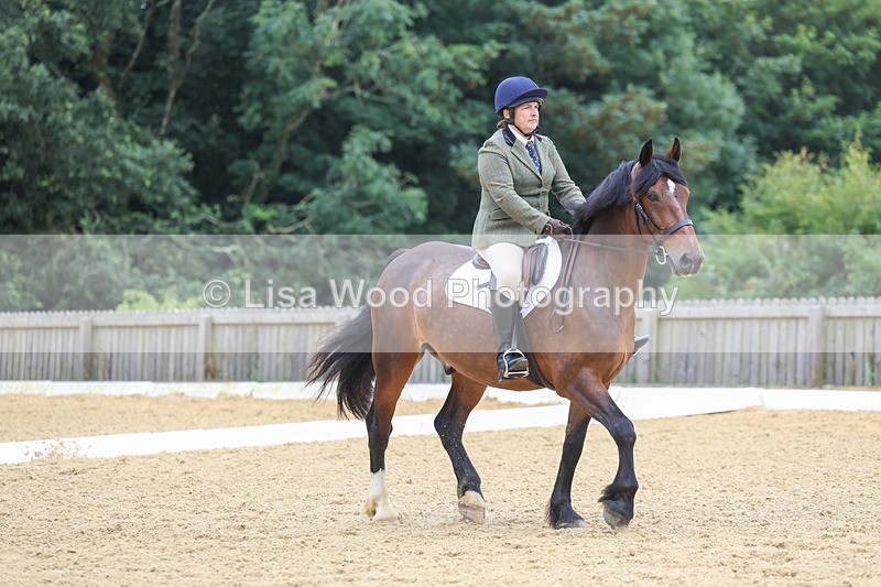 3E7A5179 - Class 2: Intro 4 2024 section B