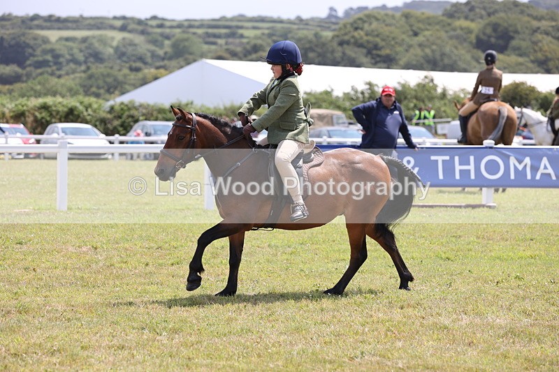 JPP_1813 - Class 18: Tiny Tots Working Hunter Pony
