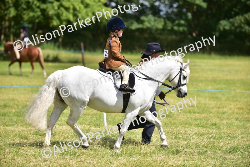 20260614-1191 - Class 11a - Lead Rein Pony (Unplaited)