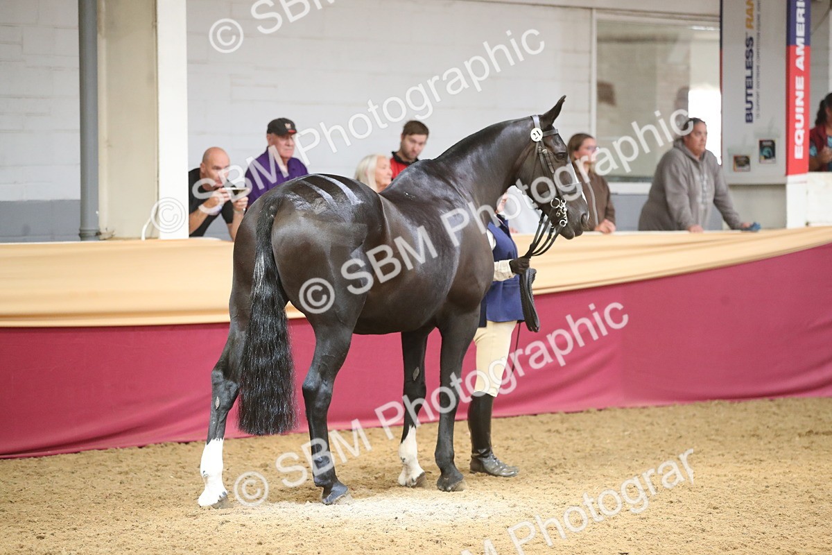 SBM_05307 - Class 8R - Regional IH Veteran