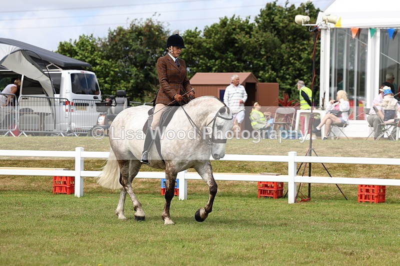 3E7A0242 - Class 6: Rising Star Maxi Cobs