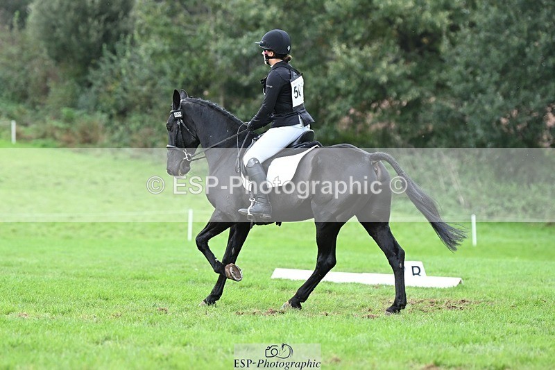 231020-152859-11182 - 505-MR.DARCY-Eleanor.Newcombe-DR