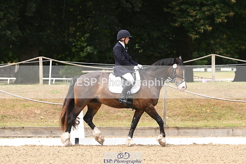 250720A-115840-10104 - 079-Amanda.Williams-Llanarth.Westminster