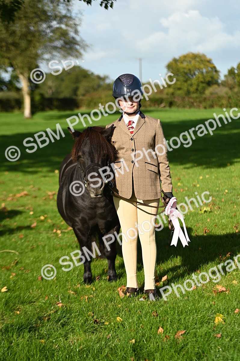 SBM_15806 - S1 - TSR in Hand Horse & Pony Showing