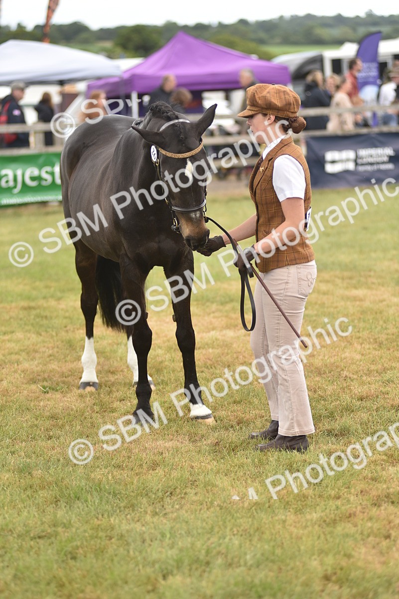 SBM_15811 - Class 115-116 - SSADL Home Produced Members Qualifier