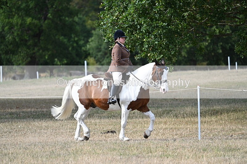WJ7_7624 - Ridden Championship