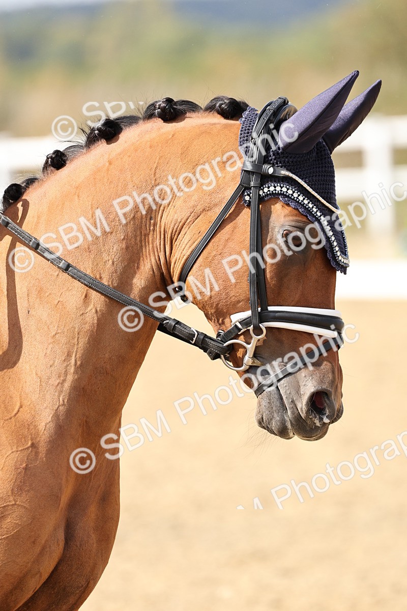 SBM_014848 - Class 7 - Medium 3