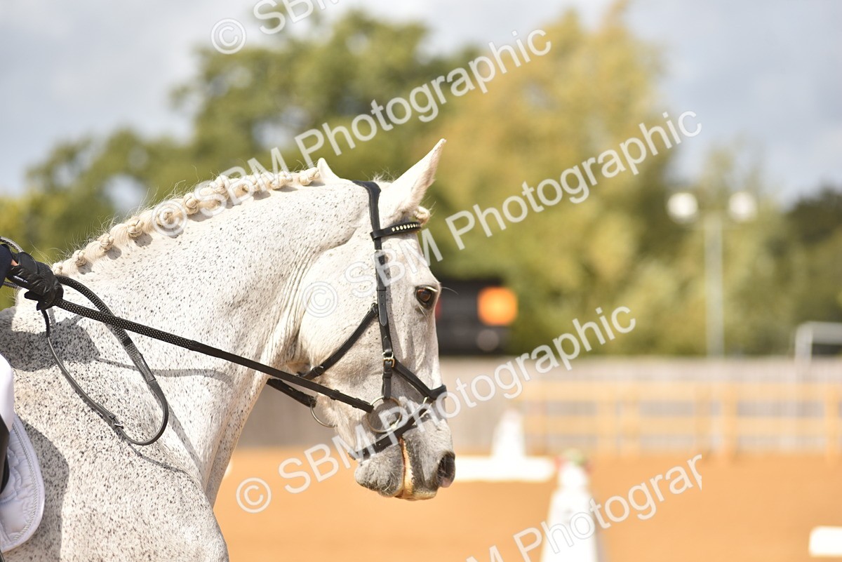 SBM_07790 - D15 - Small Tour Championship Novice 1