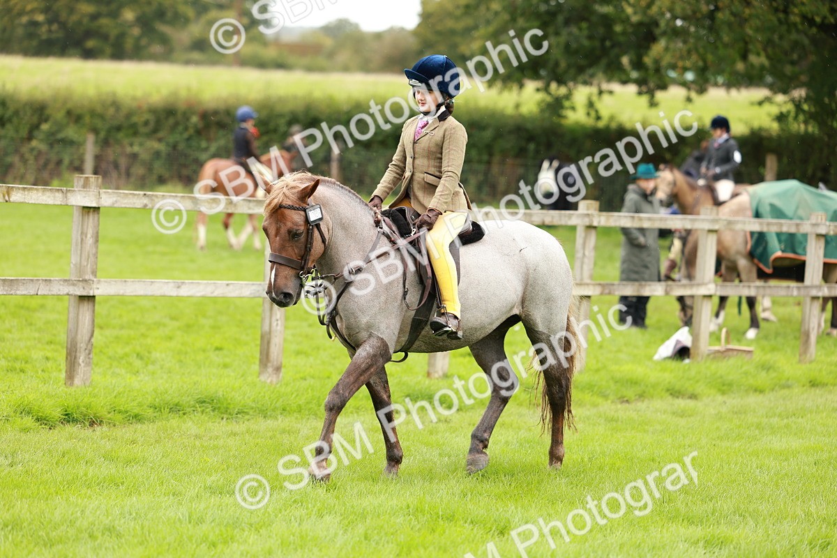 SBM_41811 - S32 - Mountain & Moorland Working Hunter Pony