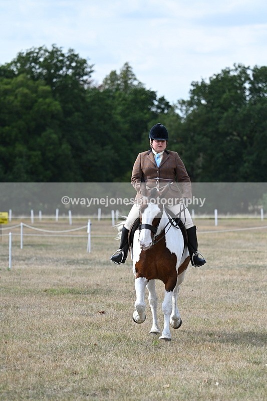 WJ7_7038 - Class 14 Ridden Coloured