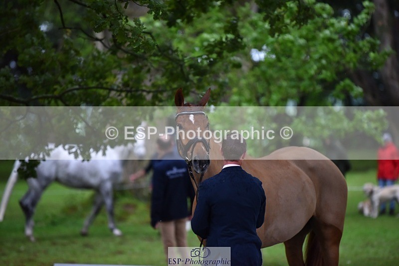 240522-162730-00927 - 273-LUSUELA-Will_Furlong