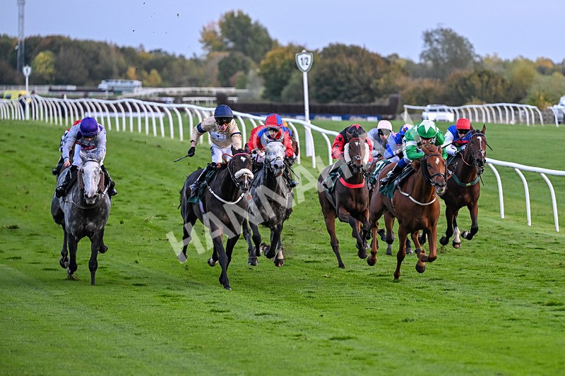 171026-Race 8-Gentle Warrior-6542 - Race 8 5.15pm Go Racing In Yorkshire Future Stars Apprentice Handicap