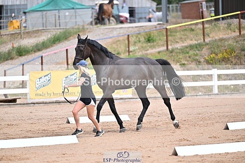 250716-130534-00320 - Trot Up 12.30 to 1.30