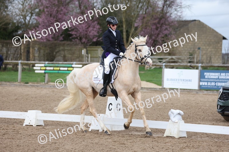 20260301-0480 - Class 3 - Novice 4