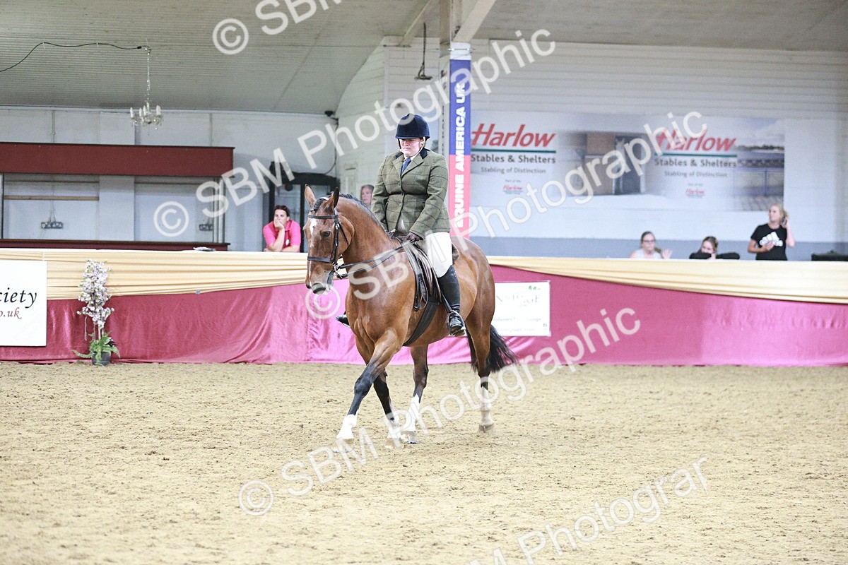 SBM_08211 - Class 11R - Regional Ridden Veteran