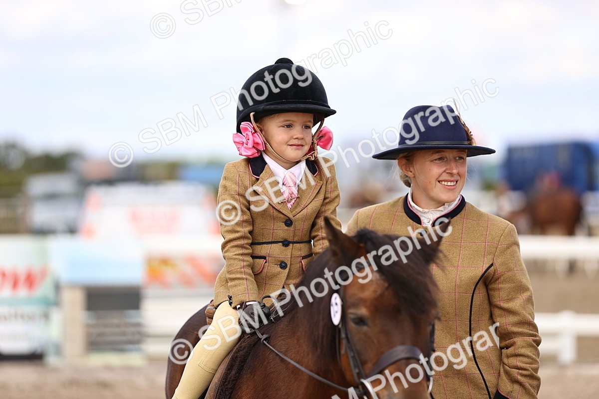 SBM_16172 - Class 420 - Horse-Pony Judge would most like to take home (IH or Ridden) Jnr