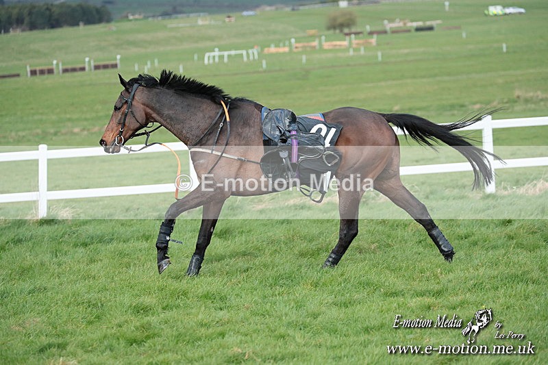 PtP 230324 907 - Tedworth Hunt PtP Larkhill Raccourse 23rd March 2024