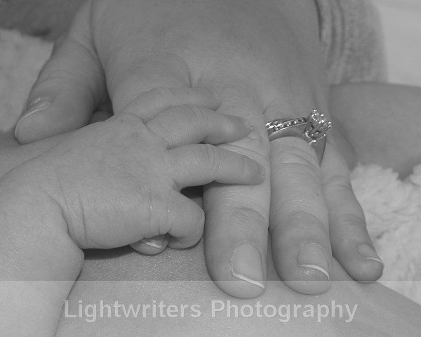 Buckle 53 - Baby Harper