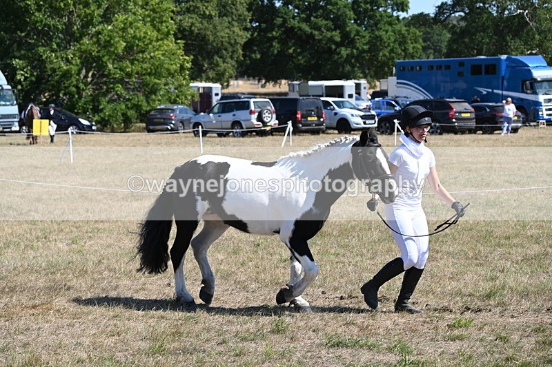 WJ6_8602 - Class 37b Best Loan Pony In-hand