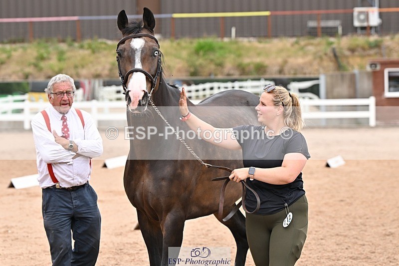 250716-144731-01403 - Trot Up 2.30 to 3.30