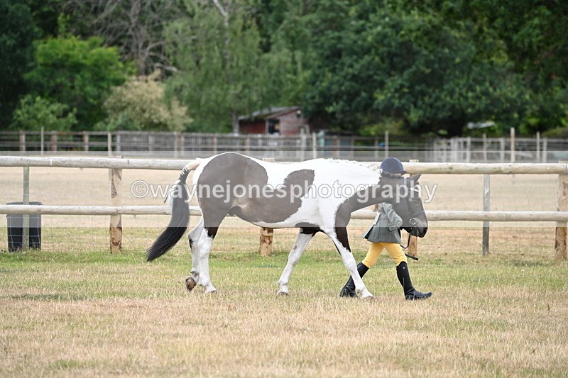 WJ6_4174 - Class 10 Coloured In-hand