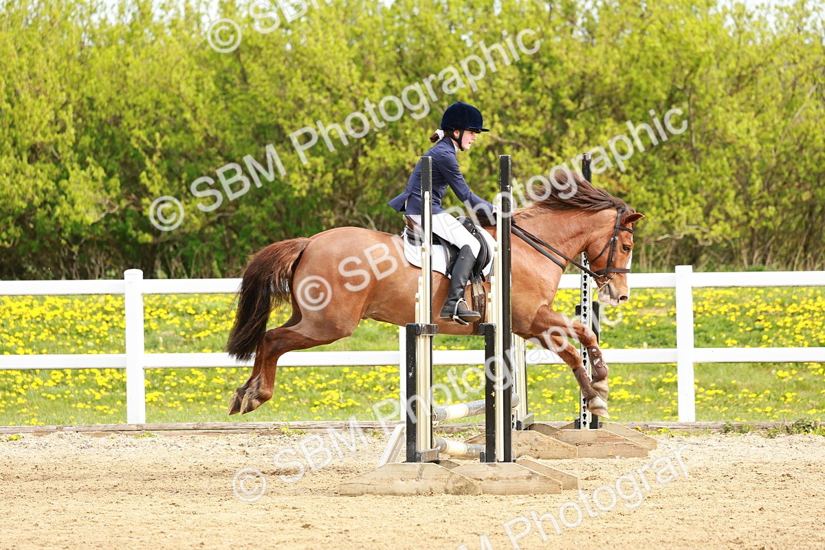 SBM_003512 - Class 2 - 50cm