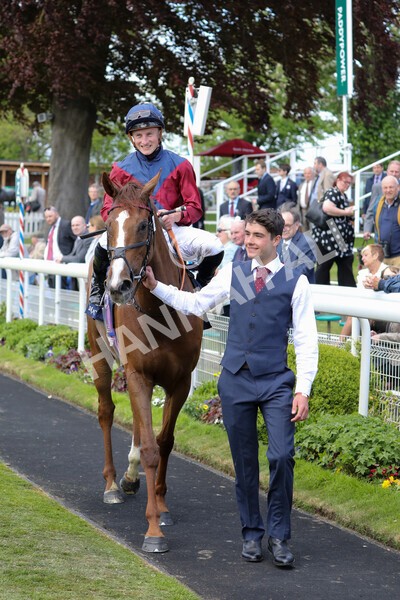 yr12052022r2-39 - Race 2 2.25pm Al Basti Equiworld Dubai Middleton Fillies' Stakes