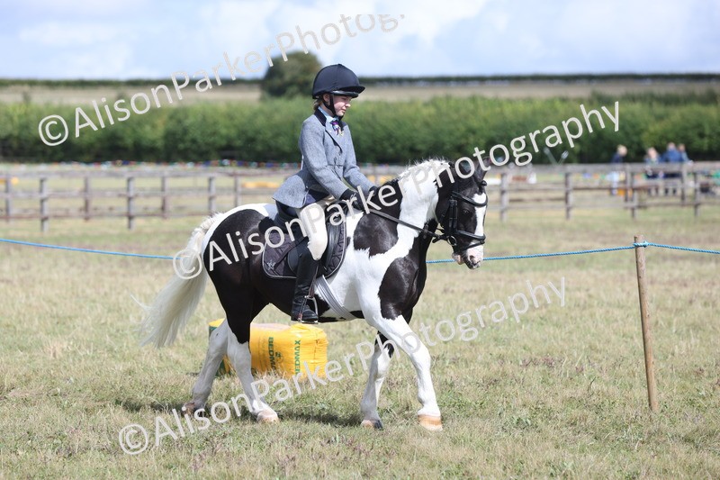 20250831-4183 - Class 20 - Ridden Coloured