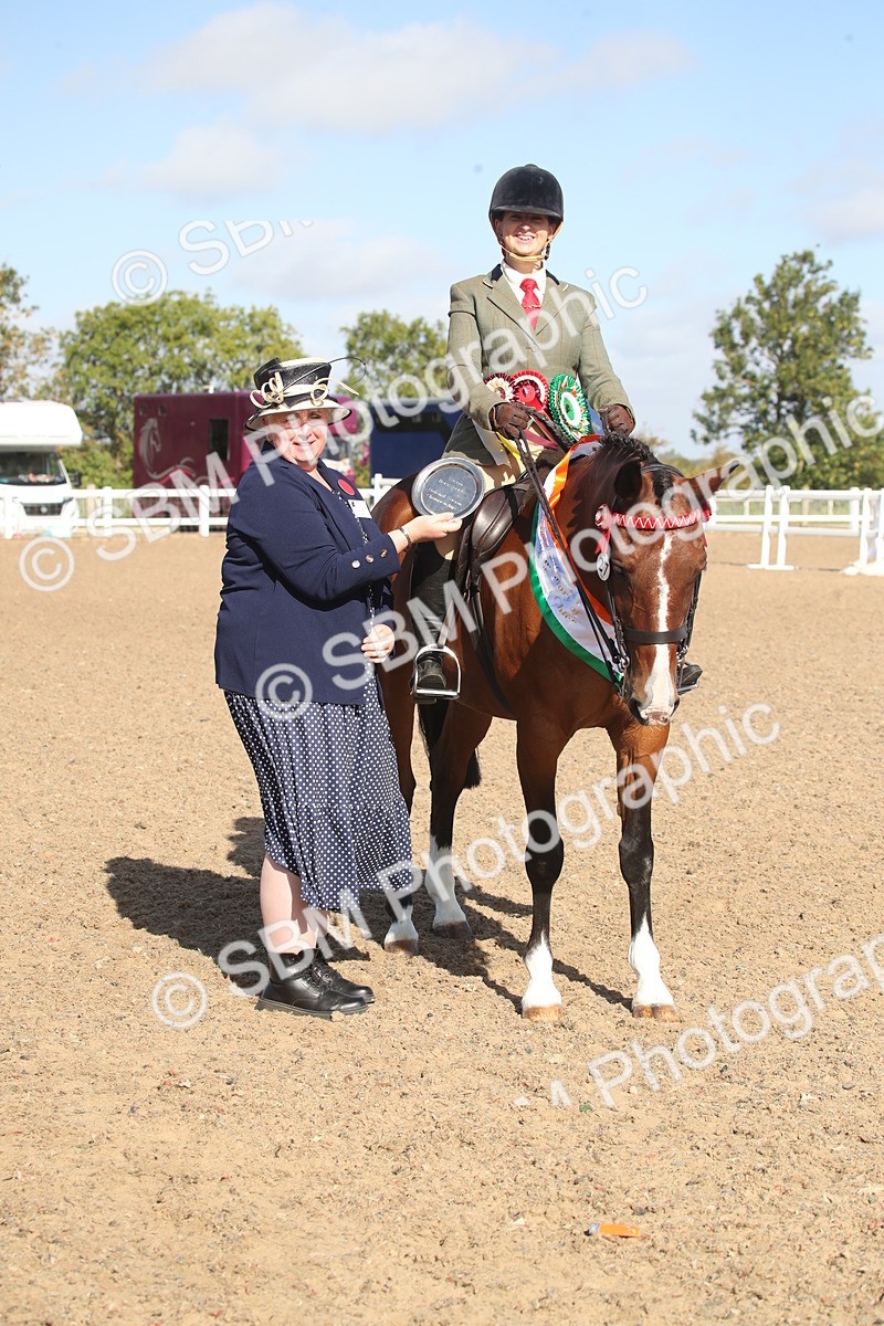 SBM_22738 - Class 601 - 2026 - Area - Ridden Diamond