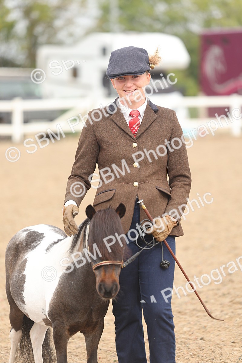 SBM_02101 - Class 15 - IH Coloured