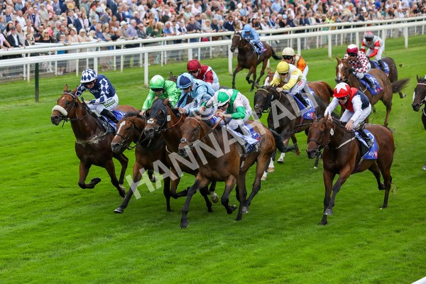 230823-Race 1-Equilateral-4047 - Race 1 1.50pm Sky Bet And Symphony Group Handicap