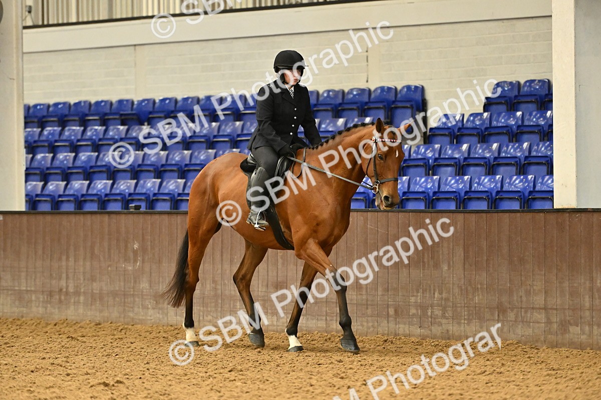 SBM_002000 - Class 24 - BSHA Ridden Racehorse to Show Horse