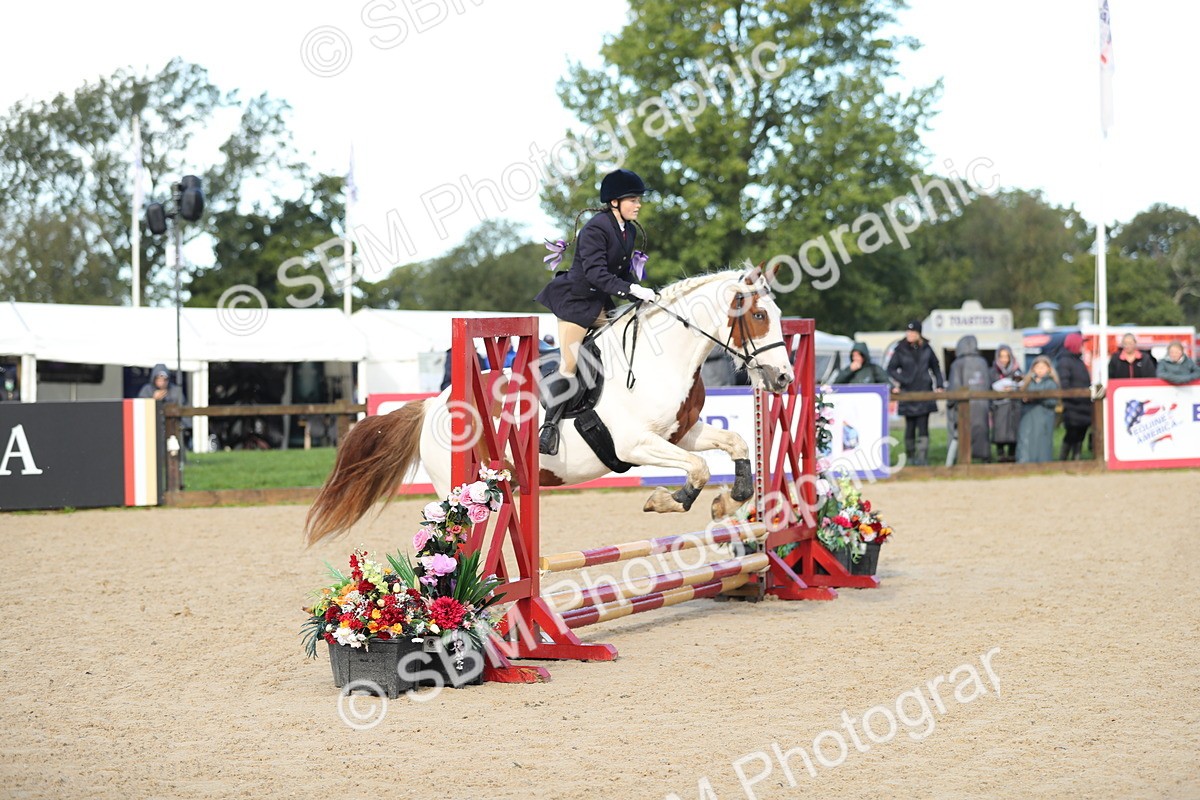 SBM_37322 - J20 - Junior Horse 50cm Championship