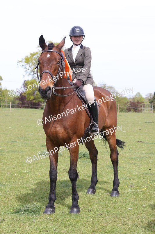 20260426-4442 - Class 34 - Best Riding Horse Over 14.2hh