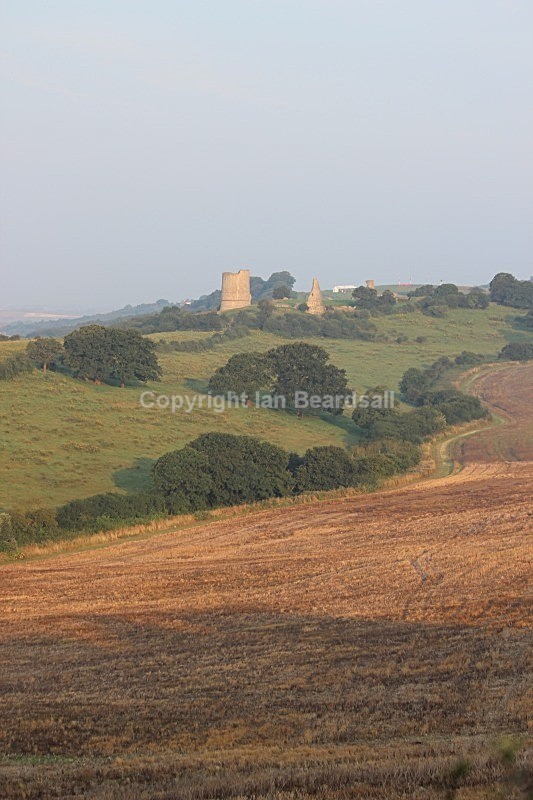 IMG_4377 - Essex