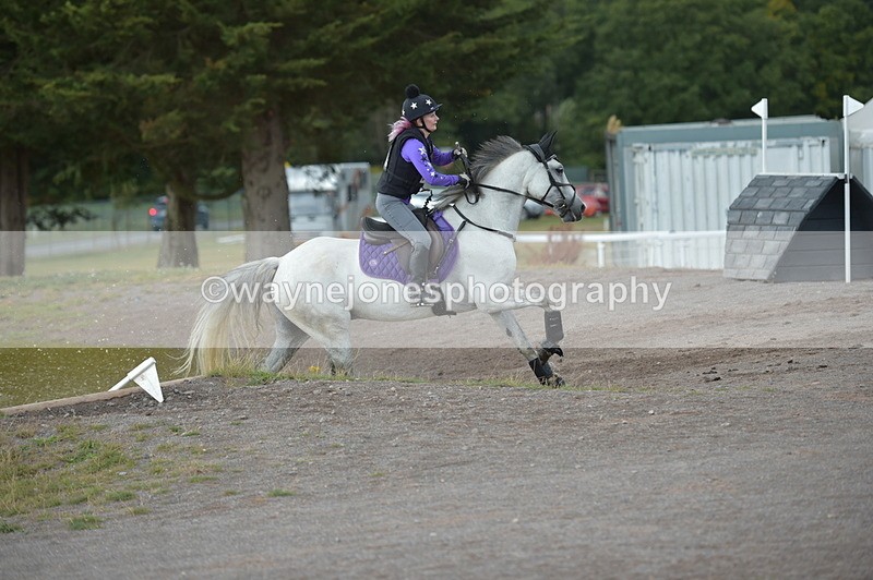 NGP_5390 - XC Time 13:36 to 13:47