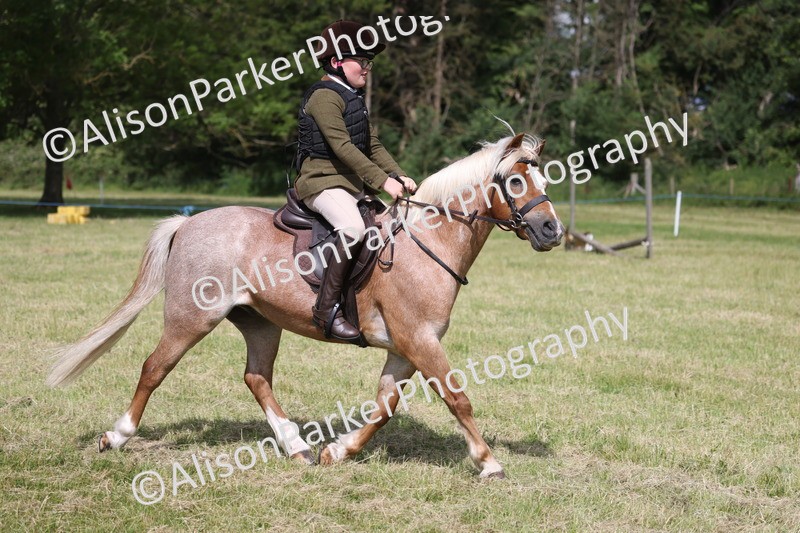 20260614-0746 - Class 20 - Beginners Working Hunter Pony