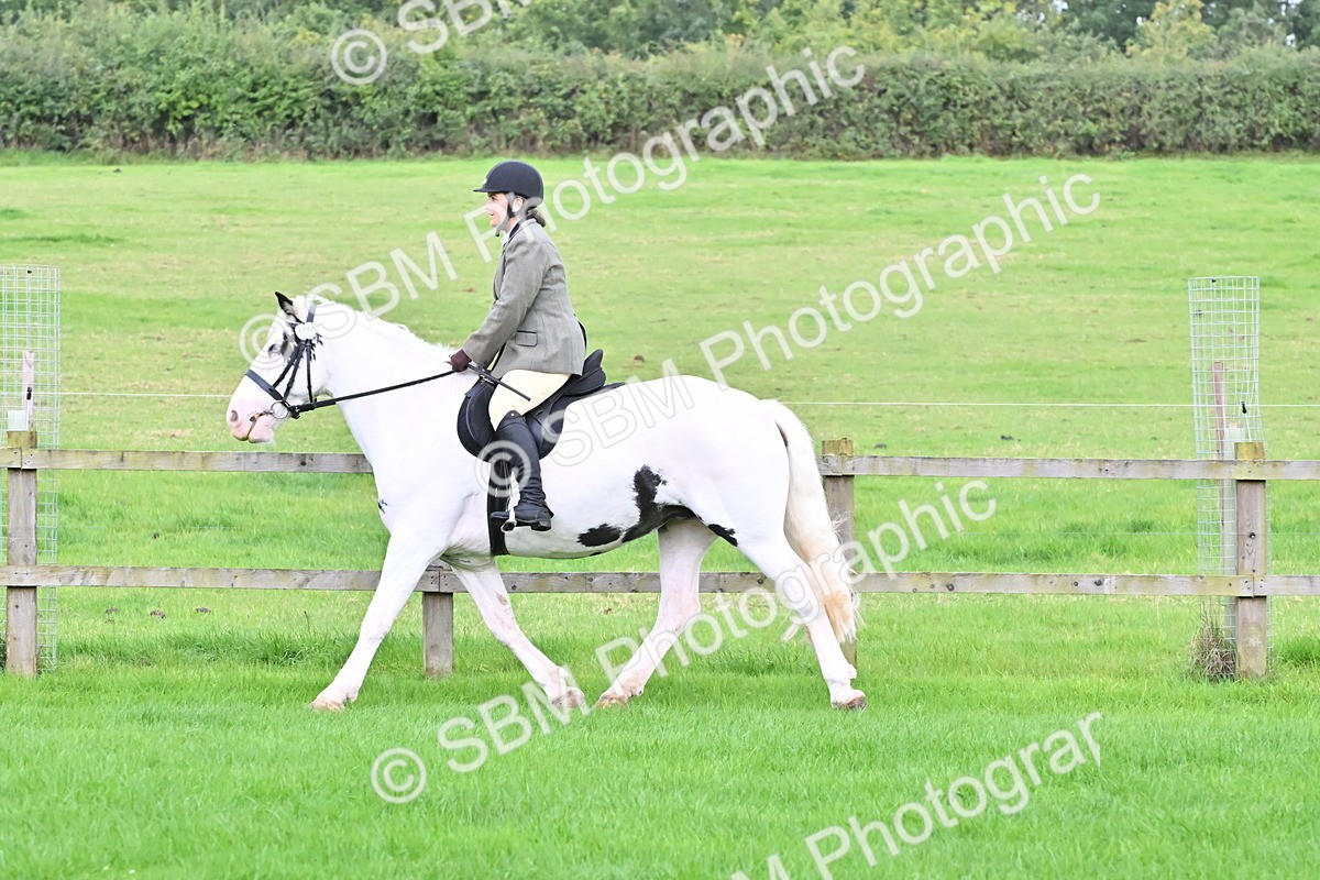 SBM_42890 - S12 - Family Horse & Pony