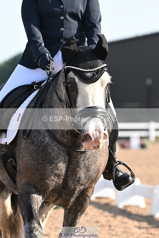 250816-090533-02830 - 055-Neve.HollowaySD.Out.of.the.Blue