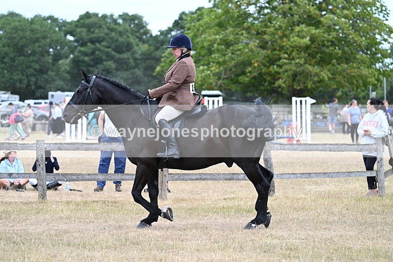 WJ7_7815 - Class 3 Family Mount