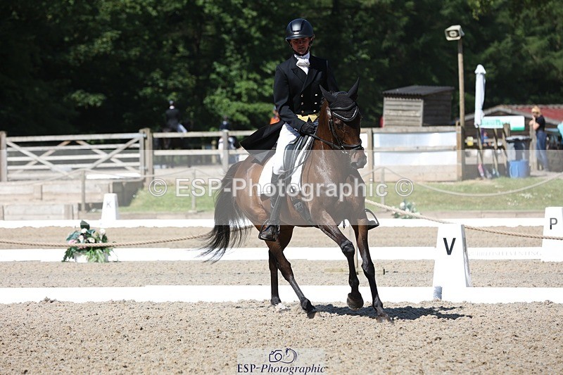 230526-102757-05263 - 361-FINCH_FANCY-Ben_Lee_Liles-WEDTrotUp+DR