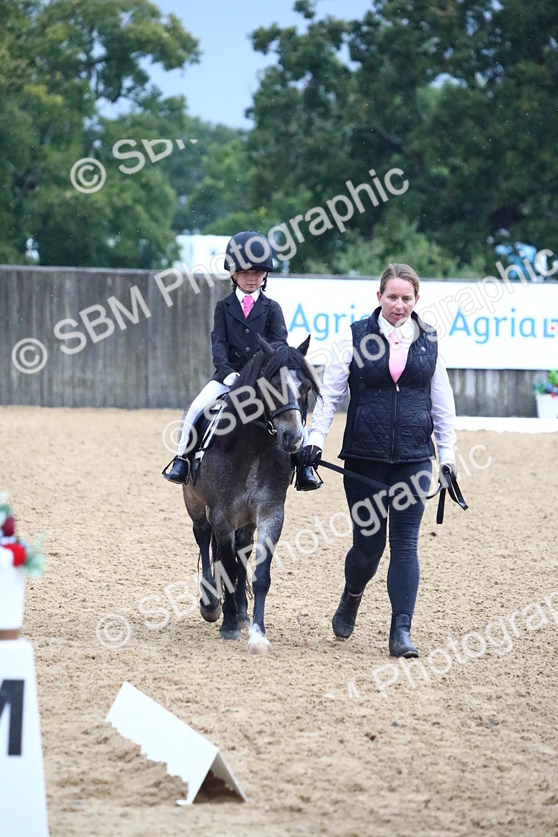 SBM_34631 - D26 - Starters Lead Rein
