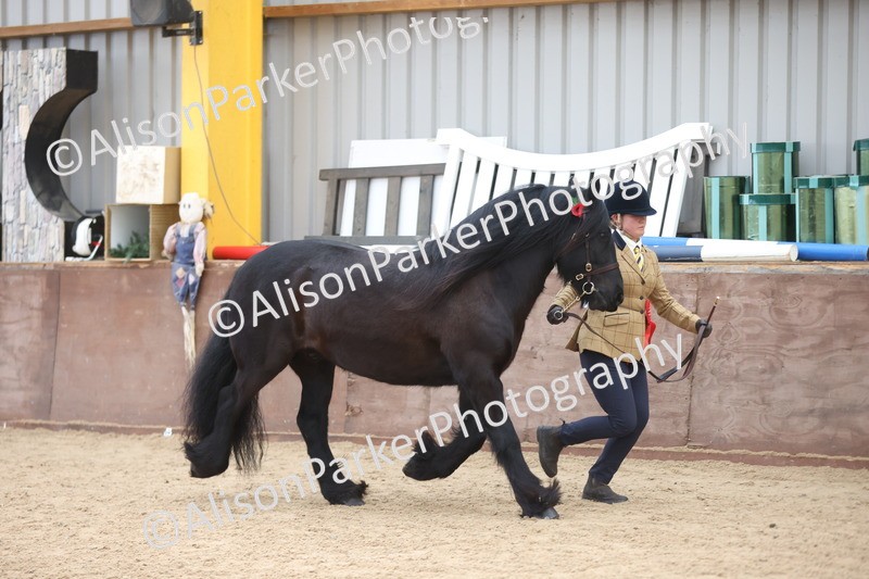 20251109-1149 - Championship