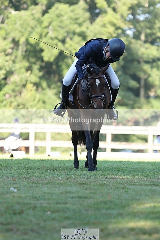 250823A-090210-25837 - Arena D