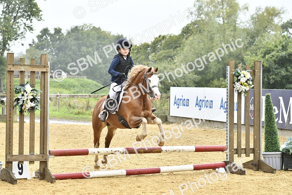 SBM_70936 - J3 - Mini Tour Junior Pony 40cm championship
