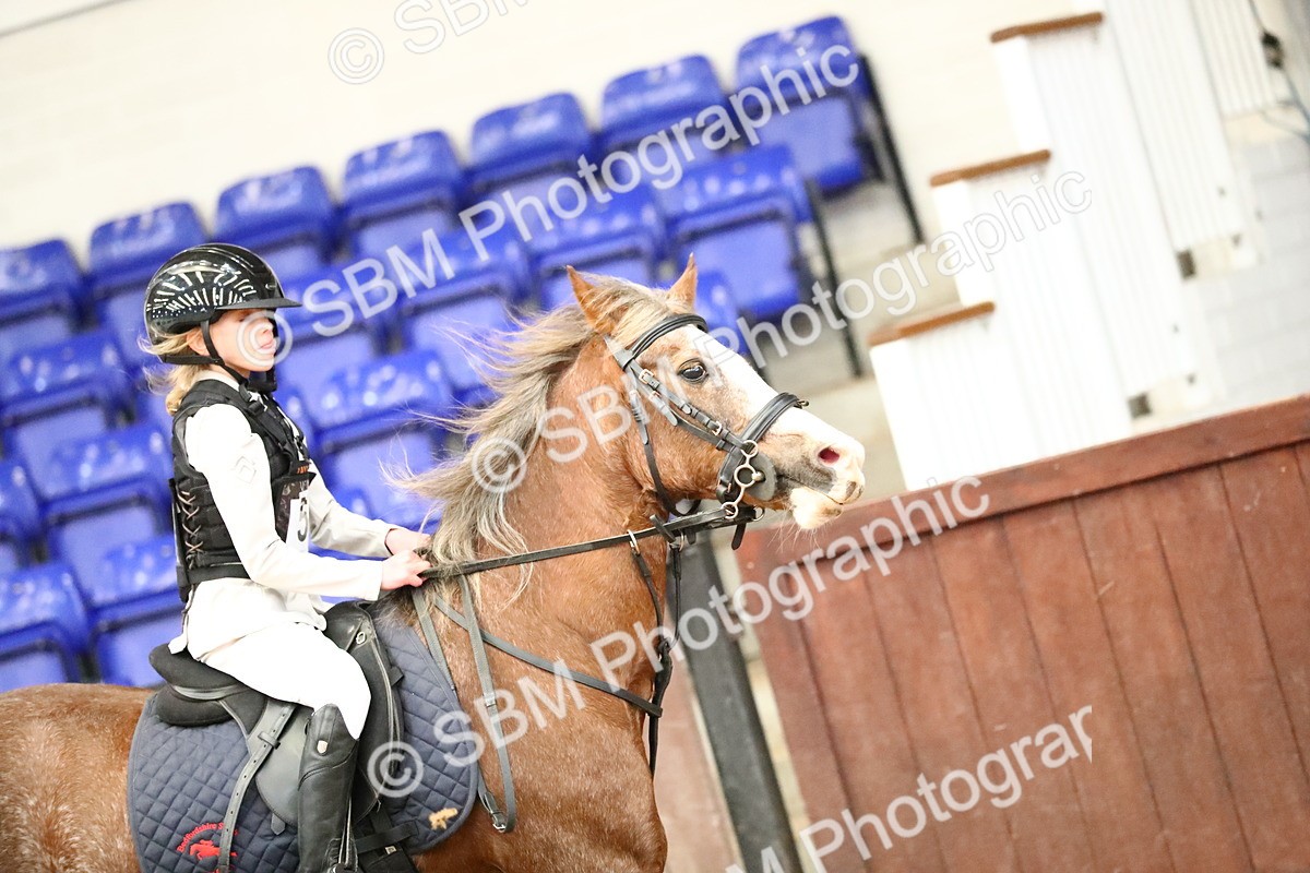 SBM_001077 - Class 3 - 50cm