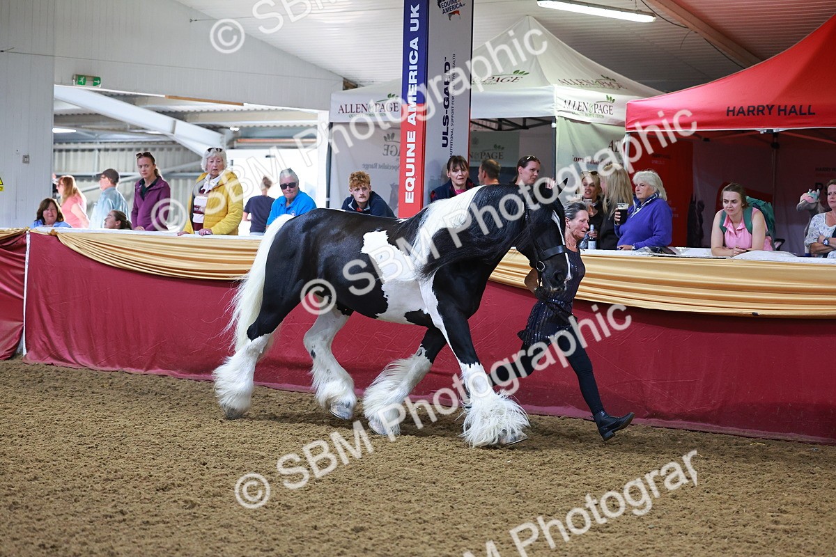 SBM_14715 - Class C - Novelty champ